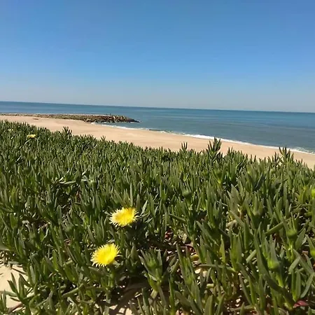 Σπίτι διακοπών Casa De Acolhedora/ Cosy House